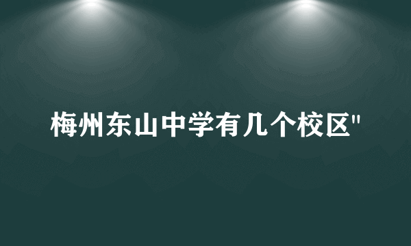 梅州东山中学有几个校区