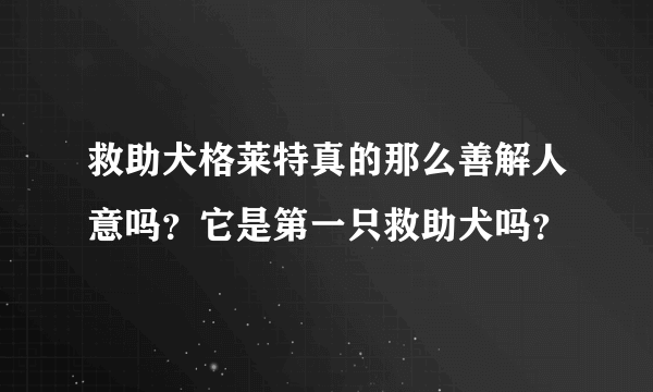 救助犬格莱特真的那么善解人意吗？它是第一只救助犬吗？