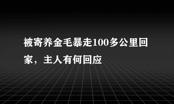 被寄养金毛暴走100多公里回家，主人有何回应