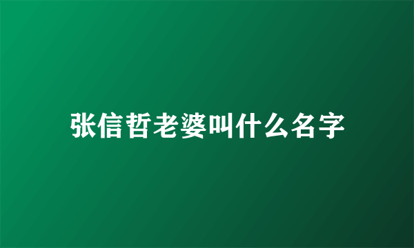 张信哲老婆叫什么名字