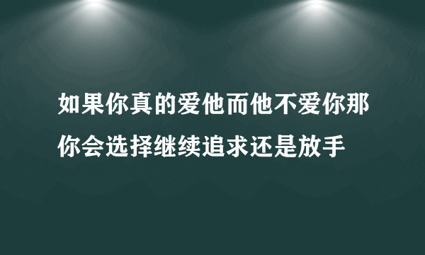 如果你真的爱他而他不爱你那你会选择继续追求还是放手