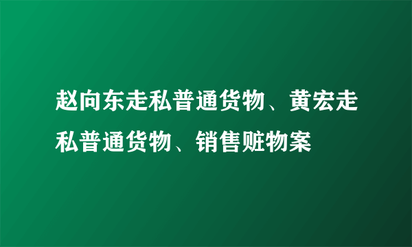 赵向东走私普通货物、黄宏走私普通货物、销售赃物案