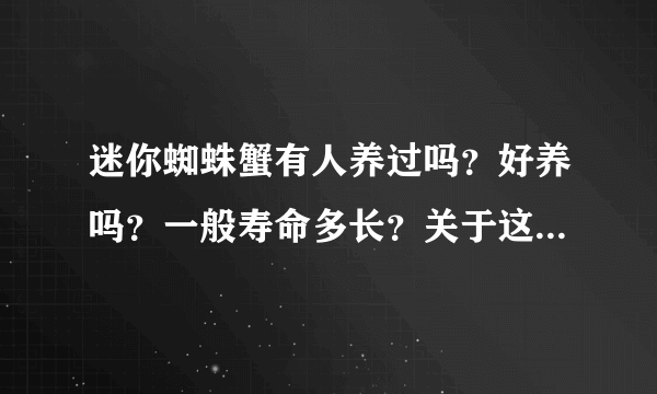 迷你蜘蛛蟹有人养过吗？好养吗？一般寿命多长？关于这种螃蟹的资料几乎没有，只知道可以深水，放草缸里不？