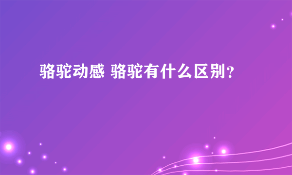 骆驼动感 骆驼有什么区别？