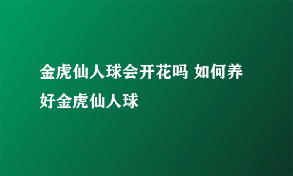 金虎仙人球会开花吗 如何养好金虎仙人球