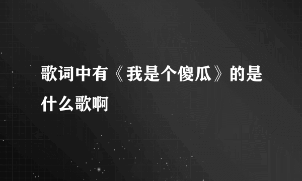 歌词中有《我是个傻瓜》的是什么歌啊