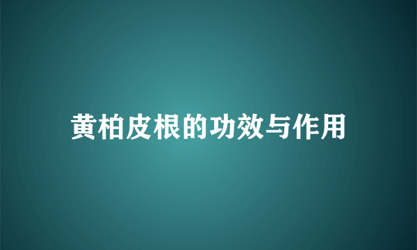 黄柏皮根的功效与作用