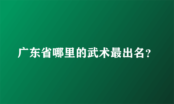 广东省哪里的武术最出名？