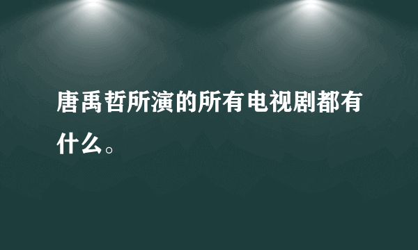 唐禹哲所演的所有电视剧都有什么。