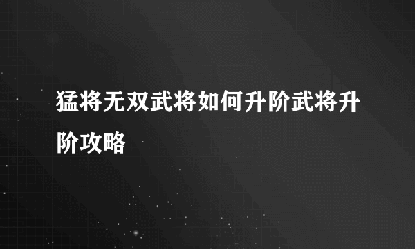 猛将无双武将如何升阶武将升阶攻略