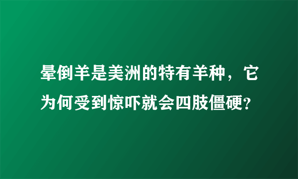 晕倒羊是美洲的特有羊种，它为何受到惊吓就会四肢僵硬？