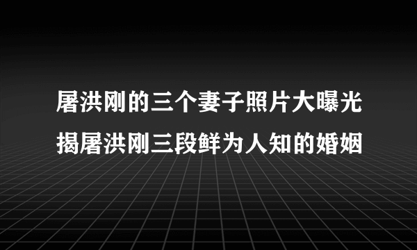 屠洪刚的三个妻子照片大曝光揭屠洪刚三段鲜为人知的婚姻