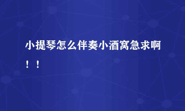 小提琴怎么伴奏小酒窝急求啊！！