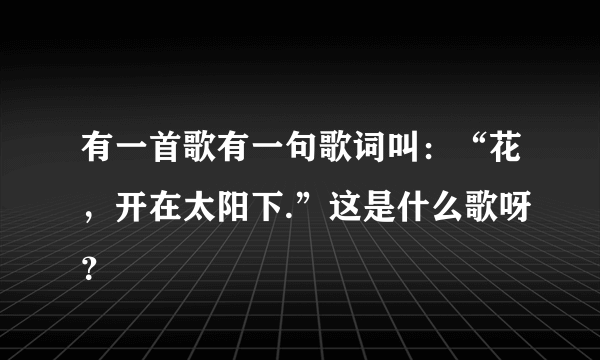 有一首歌有一句歌词叫：“花，开在太阳下.”这是什么歌呀？