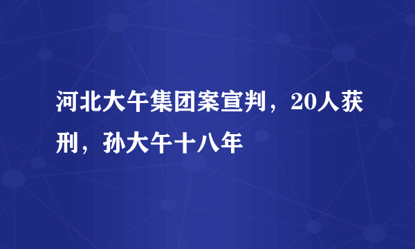 河北大午集团案宣判，20人获刑，孙大午十八年