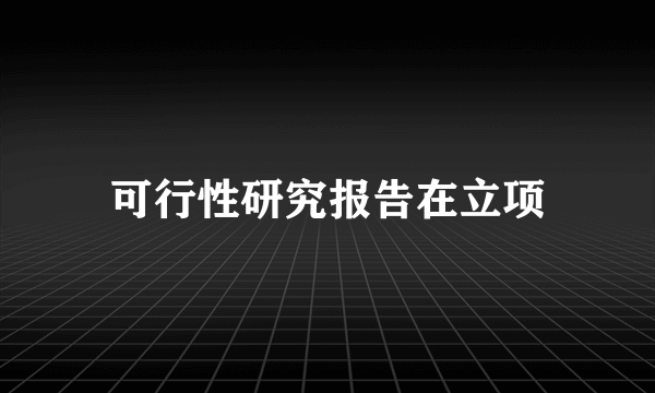 可行性研究报告在立项