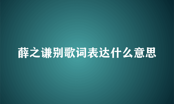 薛之谦别歌词表达什么意思