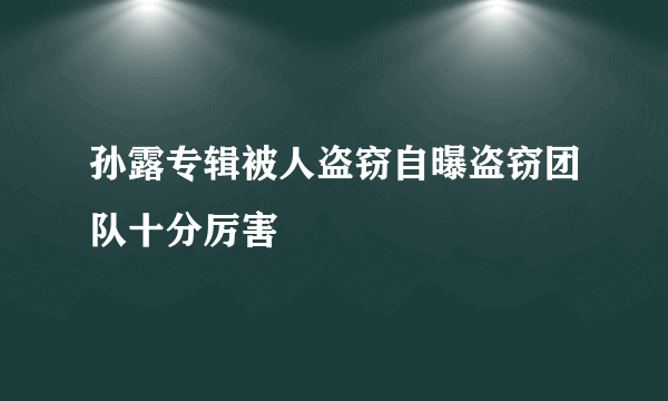 孙露专辑被人盗窃自曝盗窃团队十分厉害