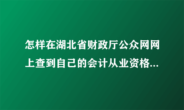 怎样在湖北省财政厅公众网网上查到自己的会计从业资格证号及相关信息