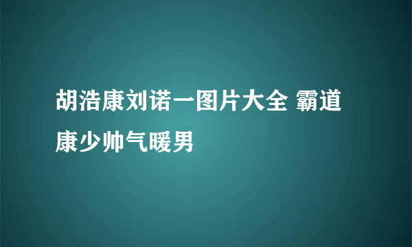 胡浩康刘诺一图片大全 霸道康少帅气暖男