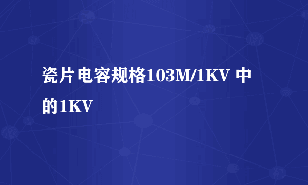 瓷片电容规格103M/1KV 中的1KV