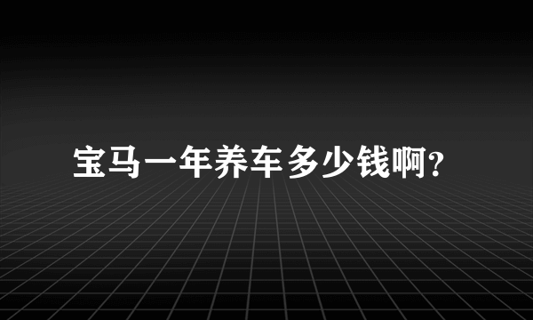 宝马一年养车多少钱啊？