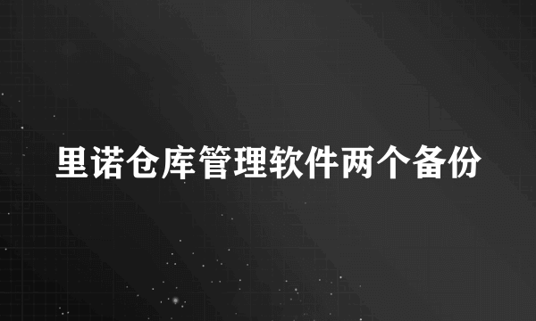 里诺仓库管理软件两个备份