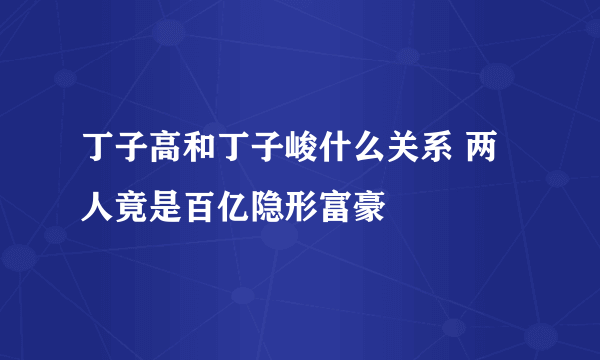 丁子高和丁子峻什么关系 两人竟是百亿隐形富豪