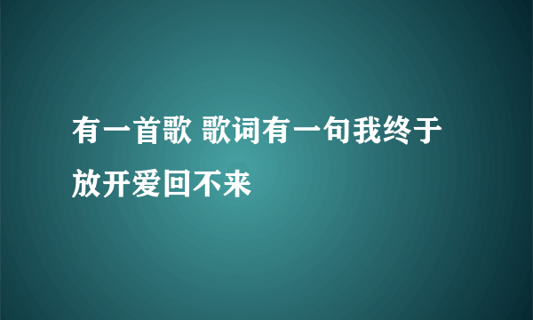 有一首歌 歌词有一句我终于放开爱回不来