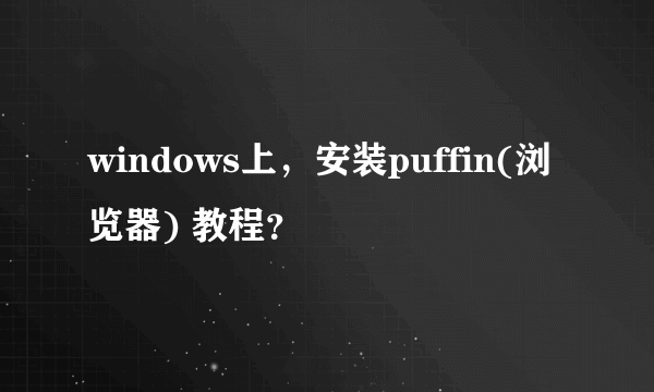 windows上，安装puffin(浏览器) 教程？