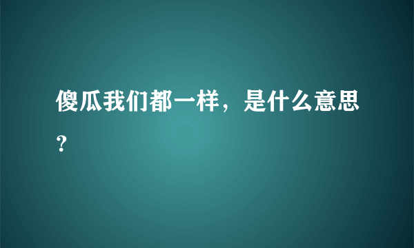 傻瓜我们都一样，是什么意思？