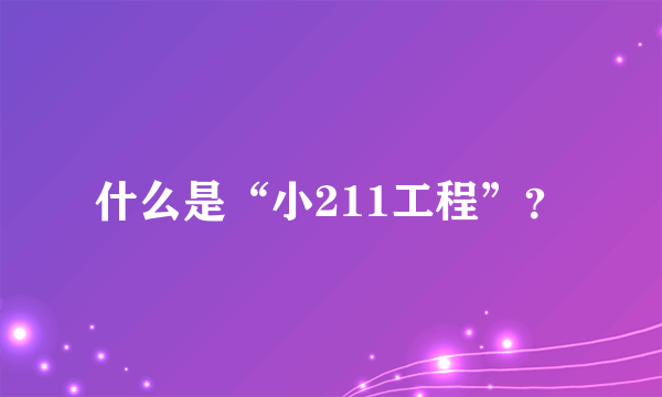 什么是“小211工程”？