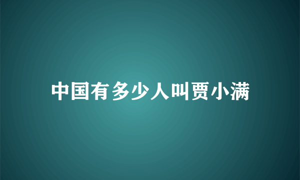 中国有多少人叫贾小满