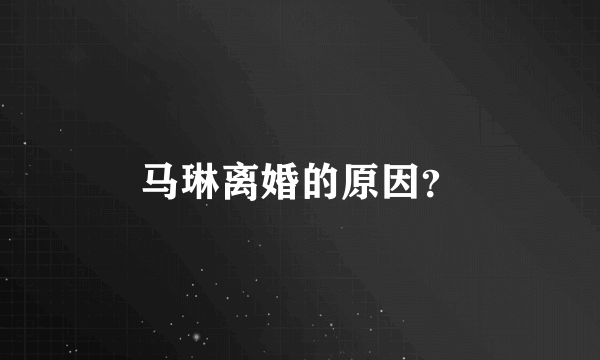 马琳离婚的原因？