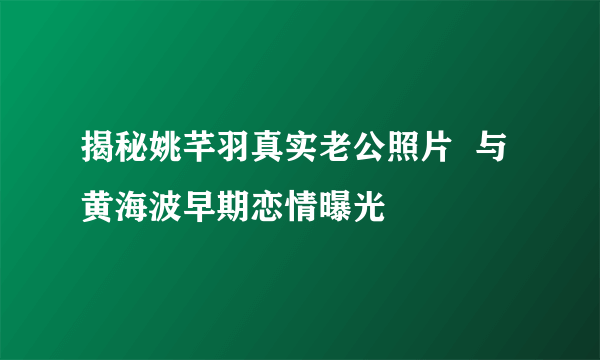 揭秘姚芊羽真实老公照片  与黄海波早期恋情曝光