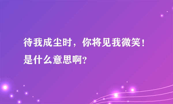 待我成尘时，你将见我微笑！是什么意思啊？