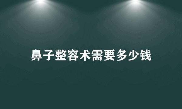 鼻子整容术需要多少钱