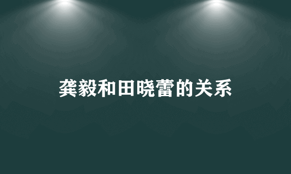 龚毅和田晓蕾的关系