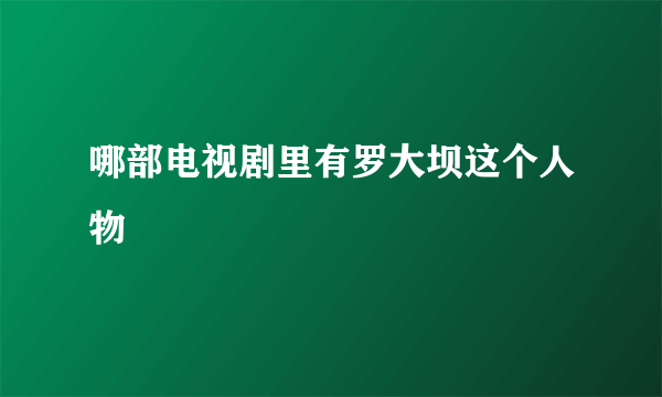 哪部电视剧里有罗大坝这个人物