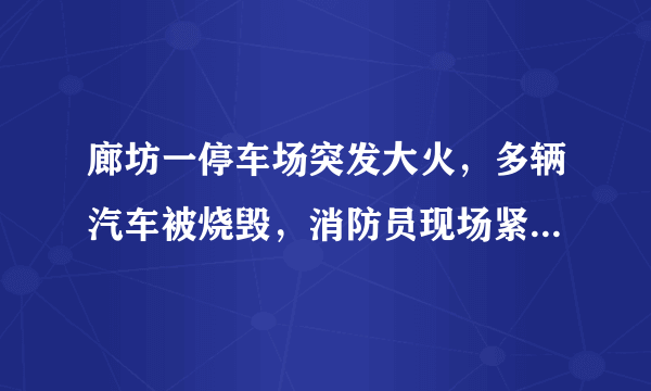 廊坊一停车场突发大火，多辆汽车被烧毁，消防员现场紧急扑救, 你怎么看？