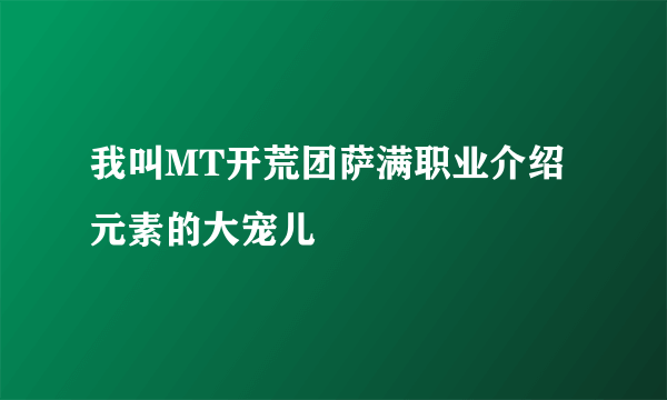 我叫MT开荒团萨满职业介绍 元素的大宠儿