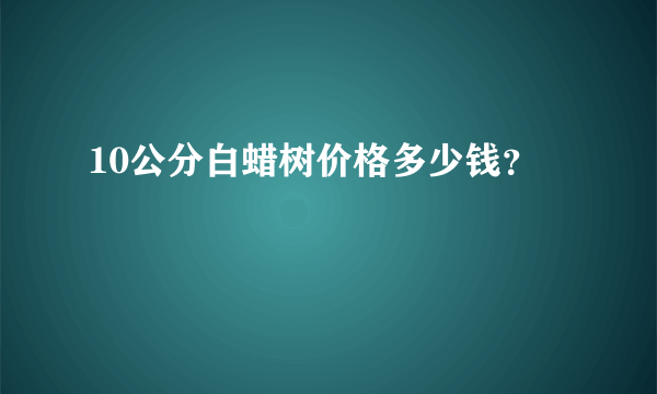 10公分白蜡树价格多少钱？