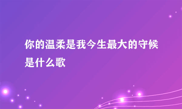 你的温柔是我今生最大的守候是什么歌