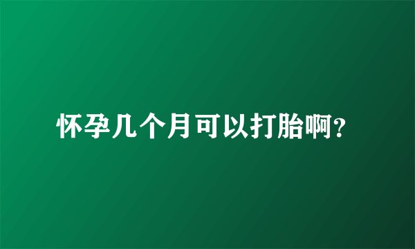 怀孕几个月可以打胎啊？