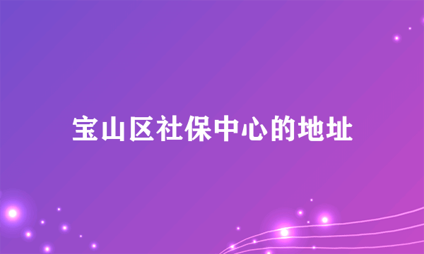 宝山区社保中心的地址