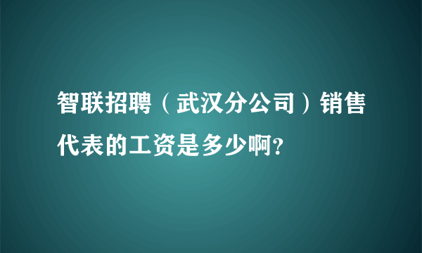 智联招聘（武汉分公司）销售代表的工资是多少啊？