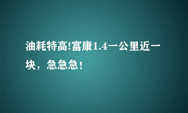 油耗特高!富康1.4一公里近一块，急急急！