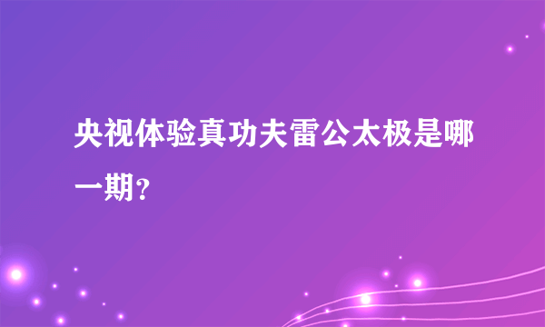 央视体验真功夫雷公太极是哪一期？