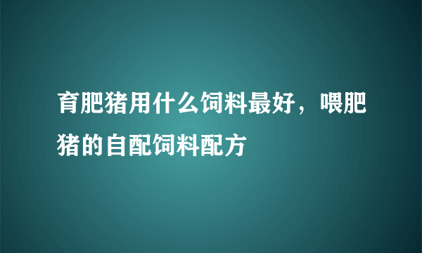 育肥猪用什么饲料最好，喂肥猪的自配饲料配方