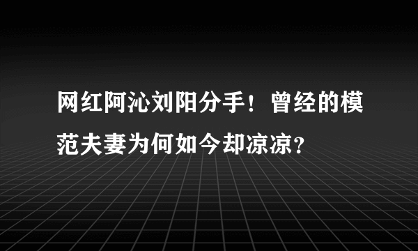 网红阿沁刘阳分手！曾经的模范夫妻为何如今却凉凉？